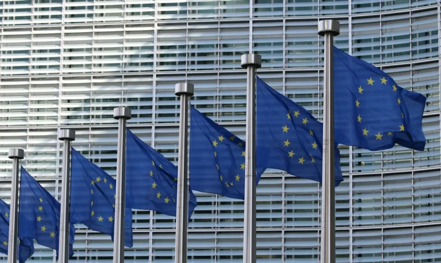 Erasmus Mundus scholarship: requirements and how to apply