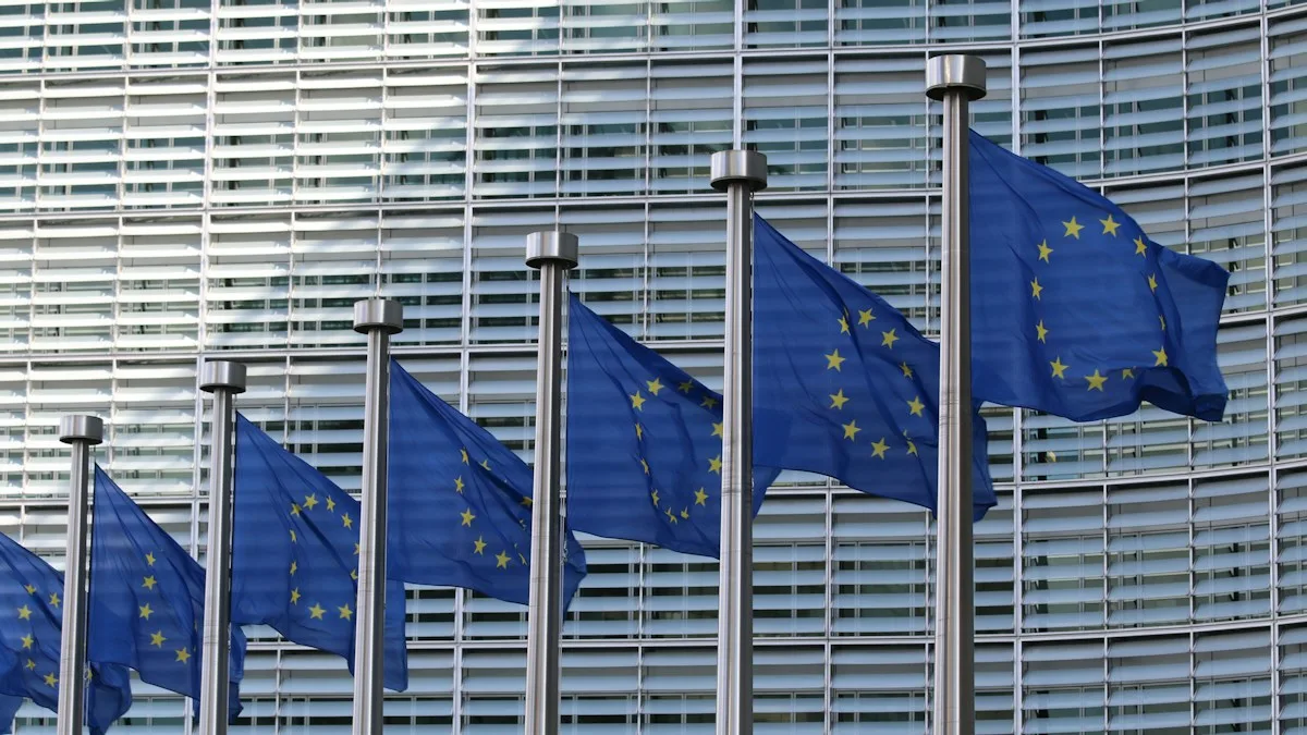 Row of European Union flags representing the Erasmus Mundus scholarship