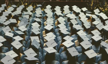 Graduates in gowns at a ceremony after completing fully funded master’s degrees
