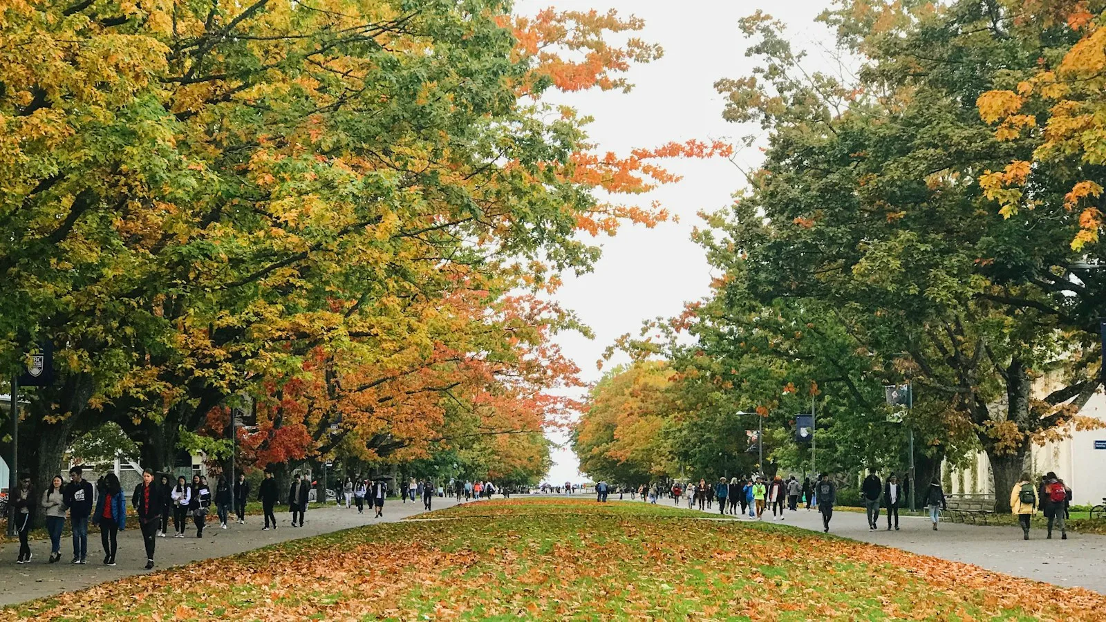 Cape Breton University entrance scholarships for international students