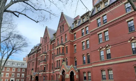 Harvard scholarship for international students