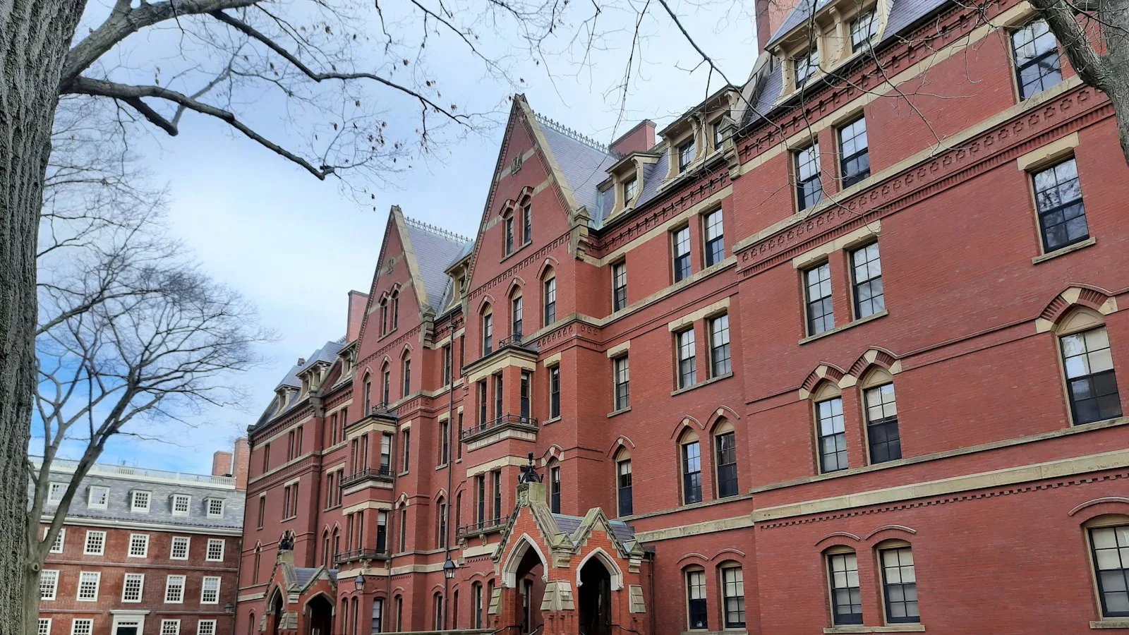 Harvard scholarship for international students